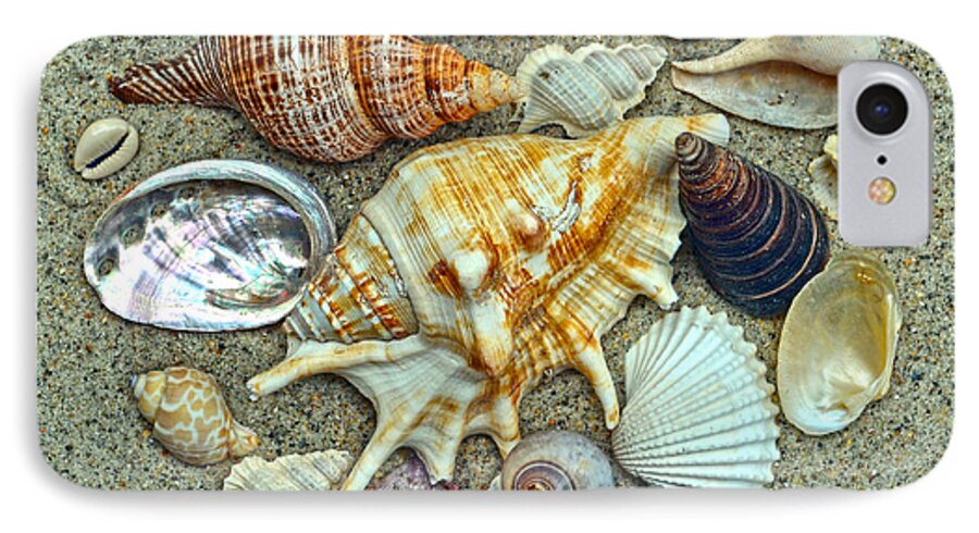 Seashells iPhone 8 Case featuring the photograph Seashells Collection by Sandi OReilly