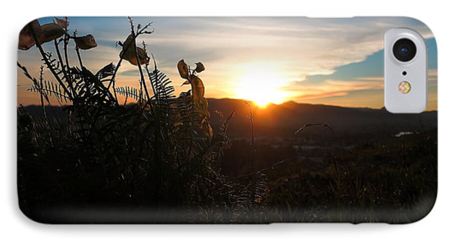 Seedpod iPhone 8 Case featuring the photograph Seedpods at Sundown by Paul Foutz