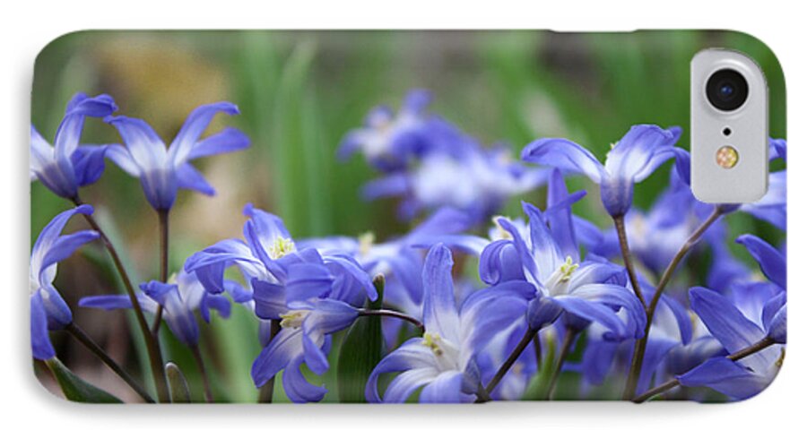 Squill iPhone 8 Case featuring the photograph Send Flowers Fine Art Print Sweet Squill by Penny Hunt Floral Macro by Penny Hunt