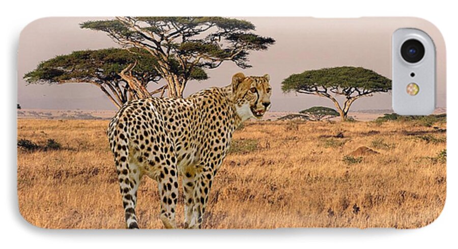 Serengeti iPhone 8 Case featuring the photograph Serengeti Cat by Larry Linton