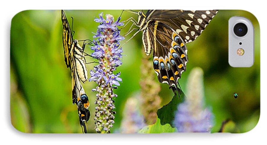 Butterfly iPhone 8 Case featuring the photograph Sharing a drink by Tammy Ray