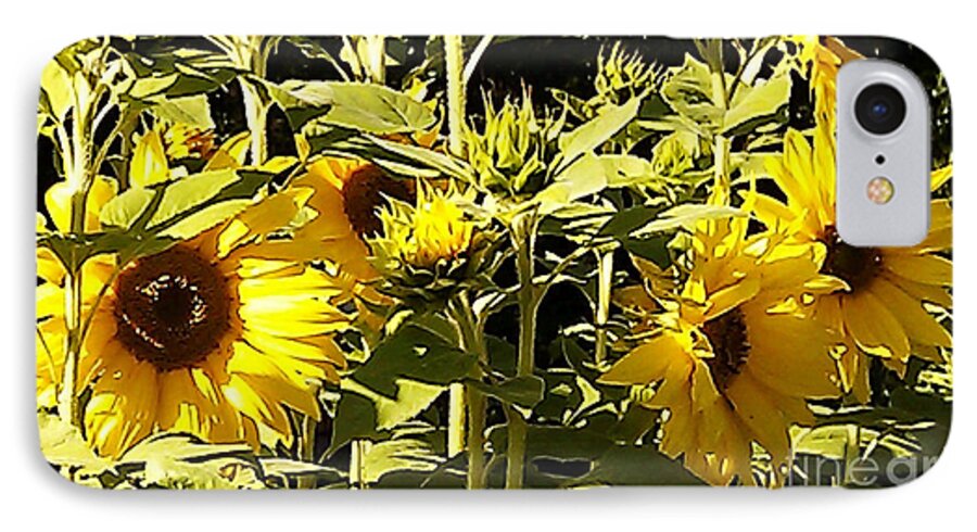 Sunflower iPhone 8 Case featuring the photograph Shout Out Summer by Martin Howard