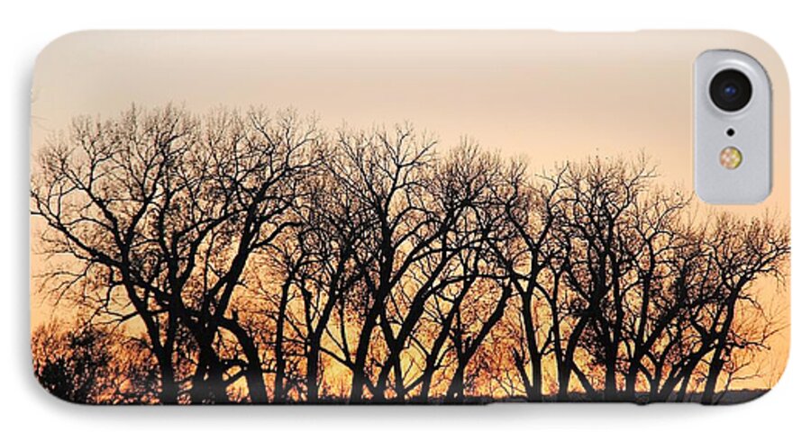 Trees iPhone 8 Case featuring the photograph Silhouettes by Yumi Johnson