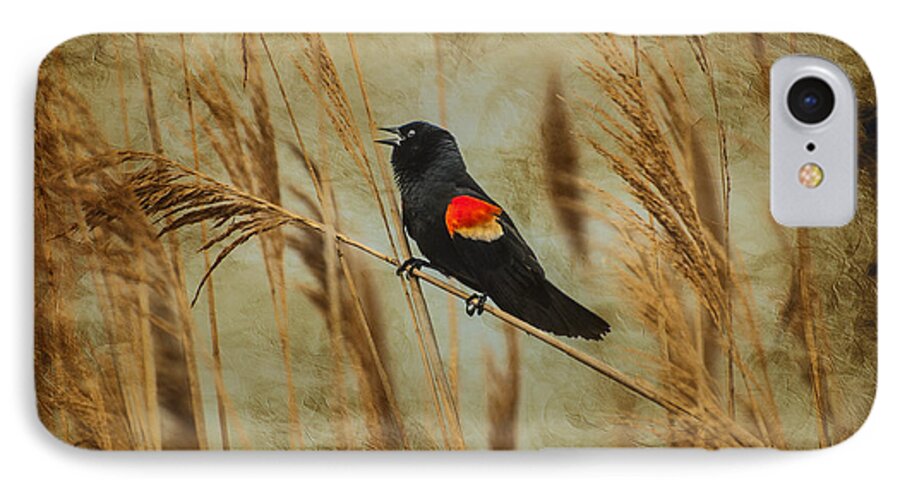 Red Wing Blackbird iPhone 8 Case featuring the photograph Singing Red Wing by Cathy Kovarik