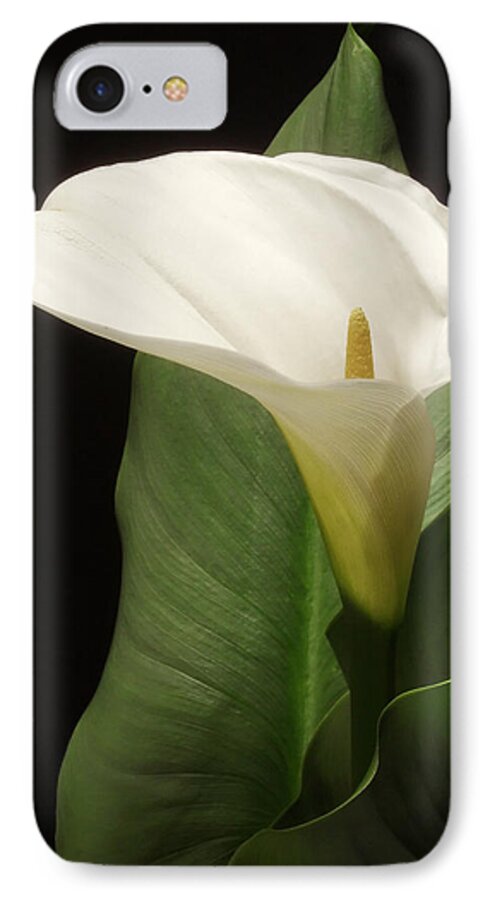 Calla Lily iPhone 8 Case featuring the photograph Single White Calla by Harold Rau