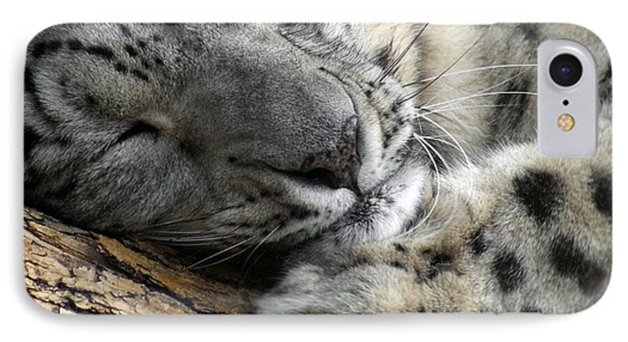 Animals iPhone 8 Case featuring the photograph Snuggles by Ernest Echols