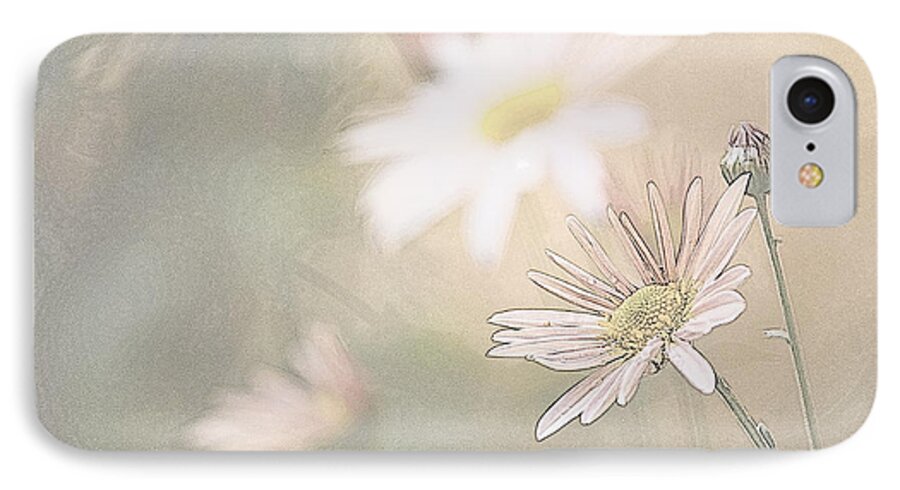 Flowers iPhone 8 Case featuring the photograph Soft Aster by Tammy Schneider