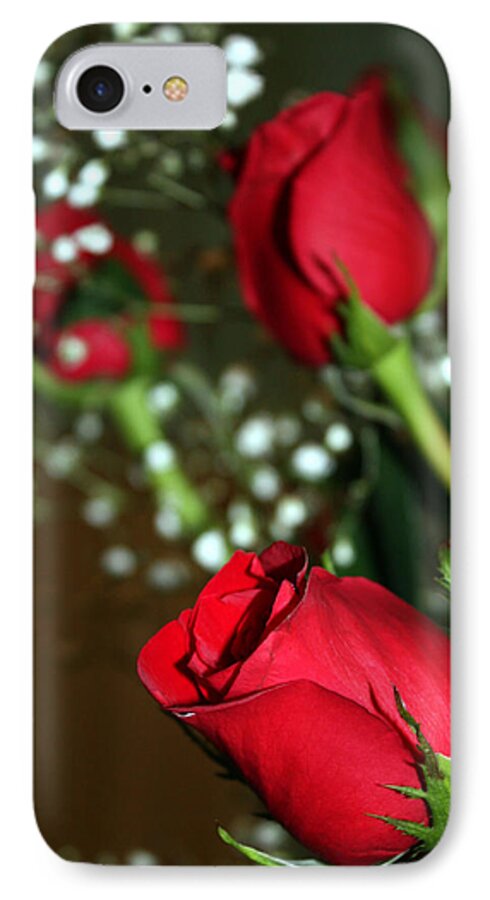Roses iPhone 8 Case featuring the photograph Soft Roses by Karen Nicholson