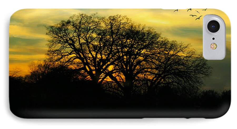Sky iPhone 8 Case featuring the photograph Soft Sunset by Joan Bertucci