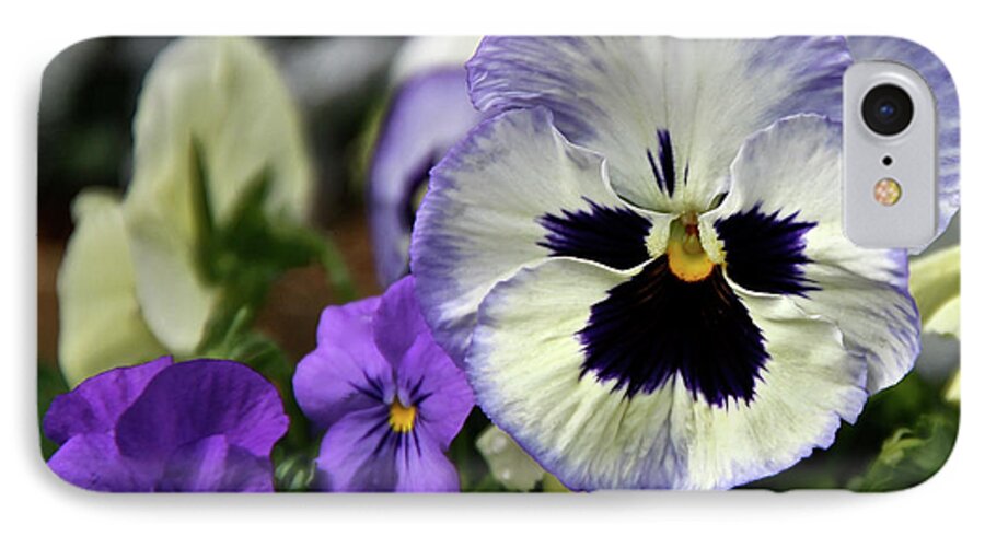 Pansy iPhone 8 Case featuring the photograph Spring Pansy Flower by Ed Riche