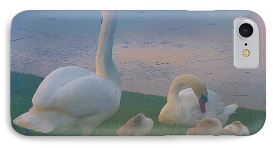 Animals iPhone 8 Case featuring the photograph Sun Setting on Swan Family by Jeanette Oberholtzer