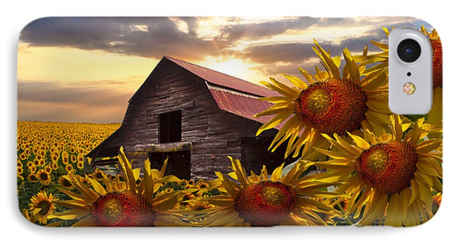 Barn iPhone 8 Case featuring the photograph Sunflower Dance by Debra and Dave Vanderlaan