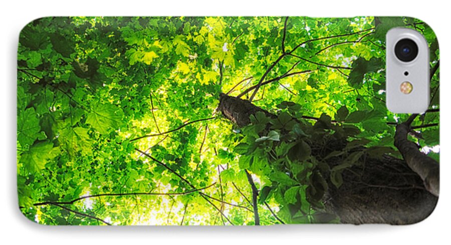Michigan iPhone 8 Case featuring the photograph Sunlit Leaves by Lars Lentz