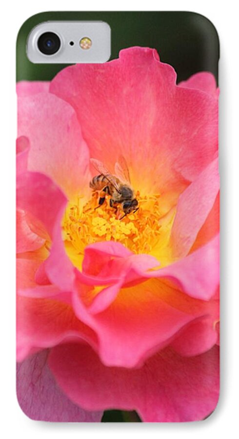 Honey Bee iPhone 8 Case featuring the photograph Sunrise by Amy Gallagher