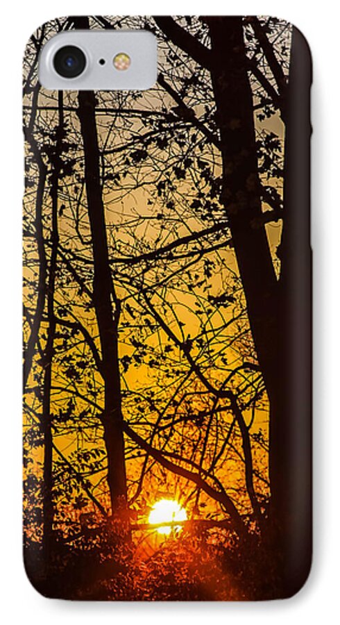 Sunrise iPhone 8 Case featuring the photograph Sunrise Through Trees by Kathleen McGinley