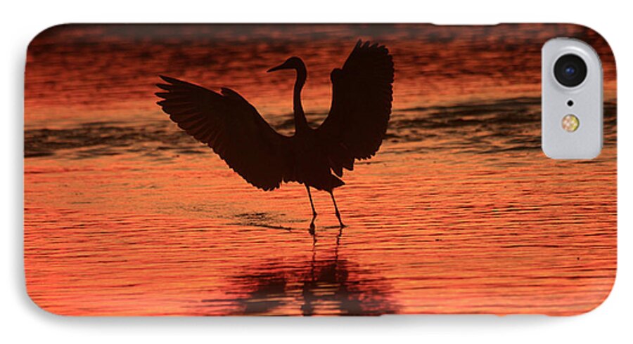 Landscapes iPhone 8 Case featuring the photograph Sunset Dancer by John F Tsumas