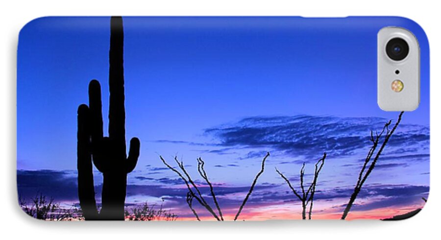 Cactus iPhone 8 Case featuring the photograph Sunset in Saguaro National Park by Elizabeth Budd