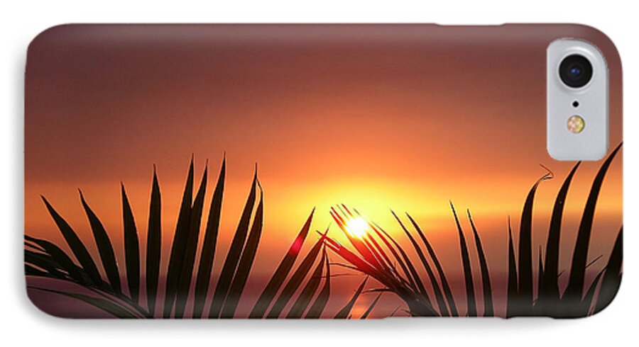 Palms iPhone 8 Case featuring the photograph Sunset Palms by Karen Nicholson