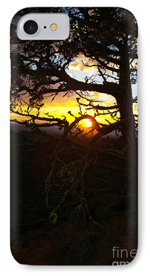 Sunset iPhone 8 Case featuring the photograph Sunset Through Branch by Jane Axman