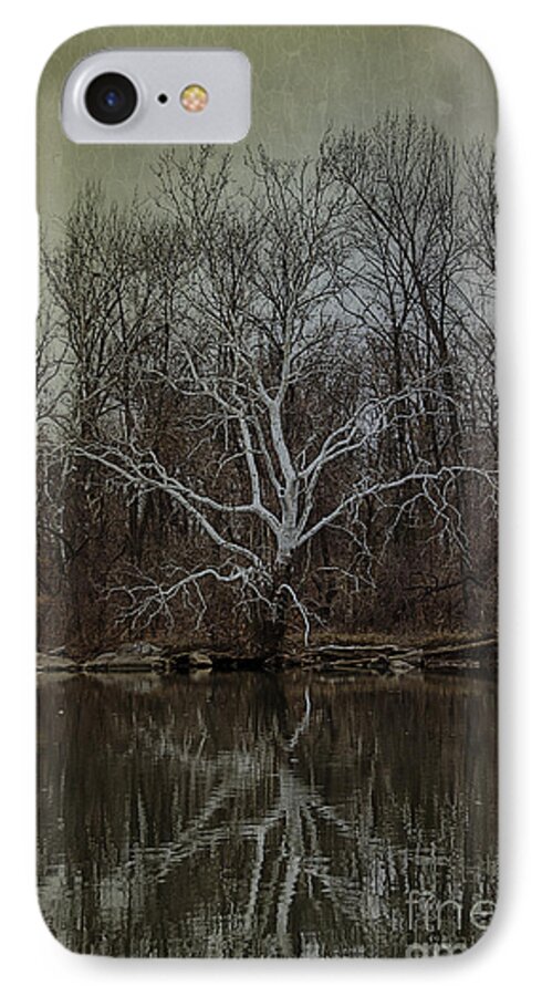 Sycamore iPhone 8 Case featuring the photograph Sycamore Dancer by Terry Rowe