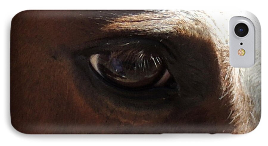 Horse iPhone 8 Case featuring the photograph Tai Sees by Rabiah Seminole