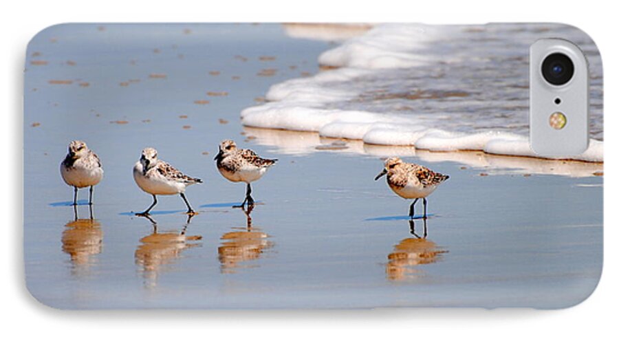 Shorebird iPhone 8 Case featuring the photograph The Breakfast Club by Dan Williams