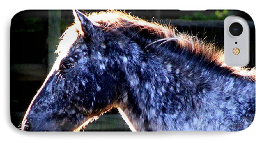 Horse iPhone 8 Case featuring the photograph The Galaxy by Rabiah Seminole