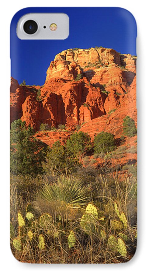 Sedona iPhone 8 Case featuring the photograph The Glory of the Desert Red Rocks 1 by Douglas Barnett