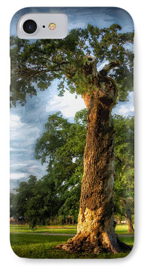 Oak iPhone 8 Case featuring the photograph The Wisdom Tree by Sandra Lynn