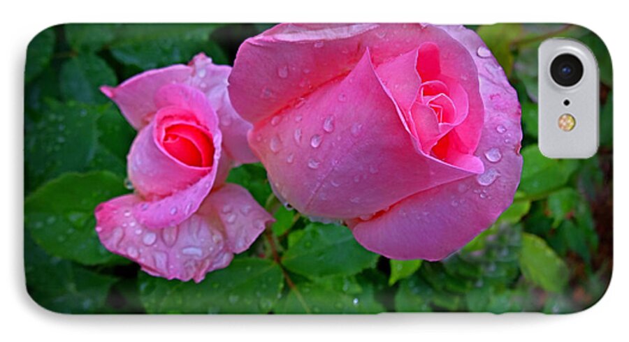 Rose iPhone 8 Case featuring the photograph Touch of Pink by Nick Kloepping