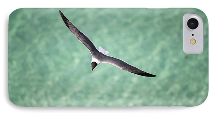 Animal iPhone 8 Case featuring the photograph Tranquil Soaring by Jennifer E Doll