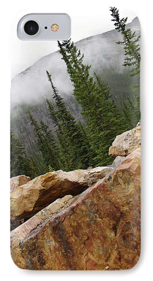 Photograph iPhone 8 Case featuring the photograph Transition by Rhonda McDougall
