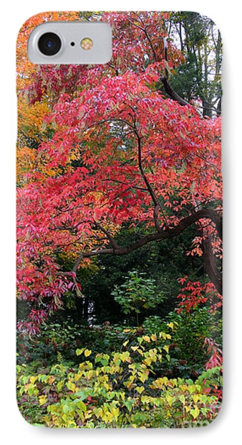 Autumn iPhone 8 Case featuring the photograph True Colors by Geri Glavis