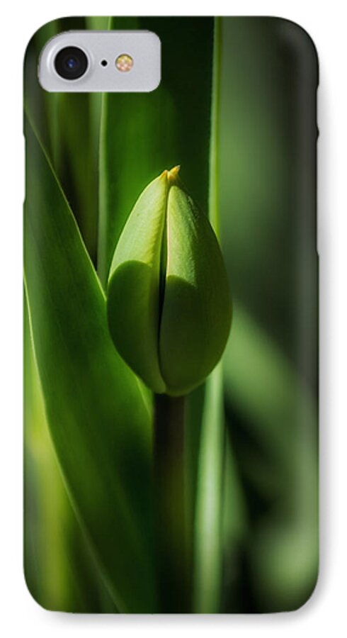 Nature iPhone 8 Case featuring the photograph Tulip Bud by Peter Scott