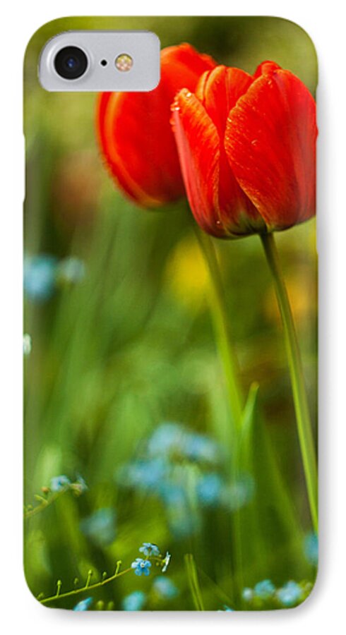 Flowers iPhone 8 Case featuring the photograph Tulips in garden by Davorin Mance