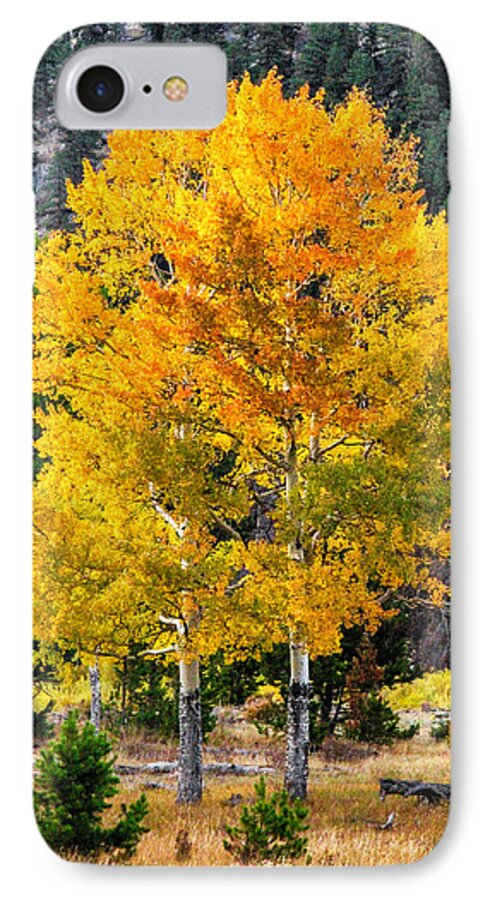 Fall Trees iPhone 8 Case featuring the photograph Twin Fall Trees by Juli Ellen