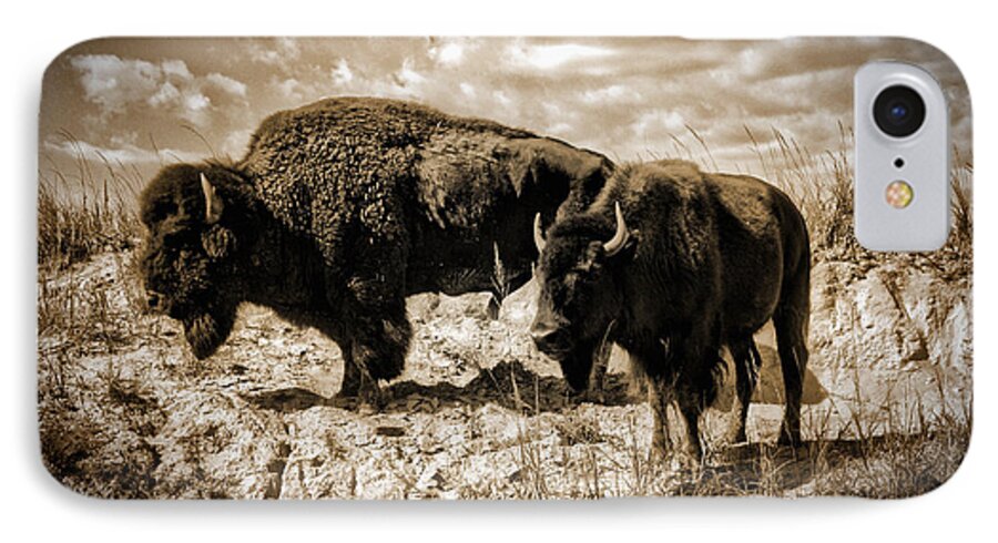 Photograph iPhone 8 Case featuring the photograph Two Buffalo by Richard Gehlbach