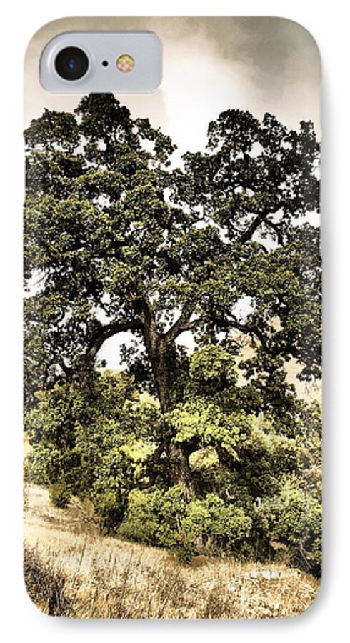 California iPhone 8 Case featuring the photograph Valley Oak by Parrish Todd