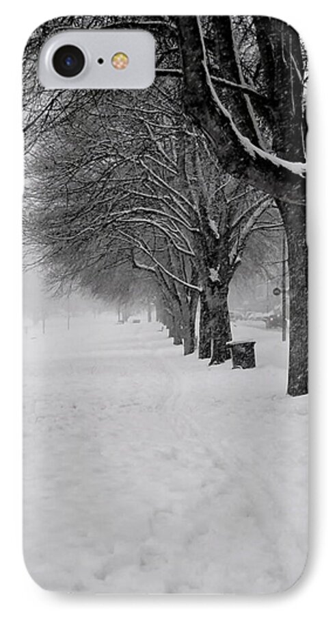 Winter Trees iPhone 8 Case featuring the photograph Vancouver Winter Trees by Gregory Merlin Brown