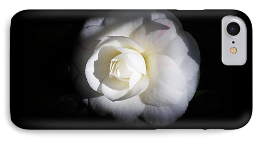 Flower iPhone 8 Case featuring the photograph Warmth of the Morning by Mark Lucey
