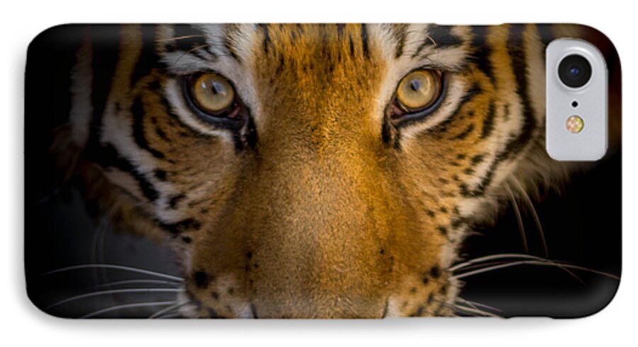 Tiger iPhone 8 Case featuring the photograph Watching You by Ernest Echols