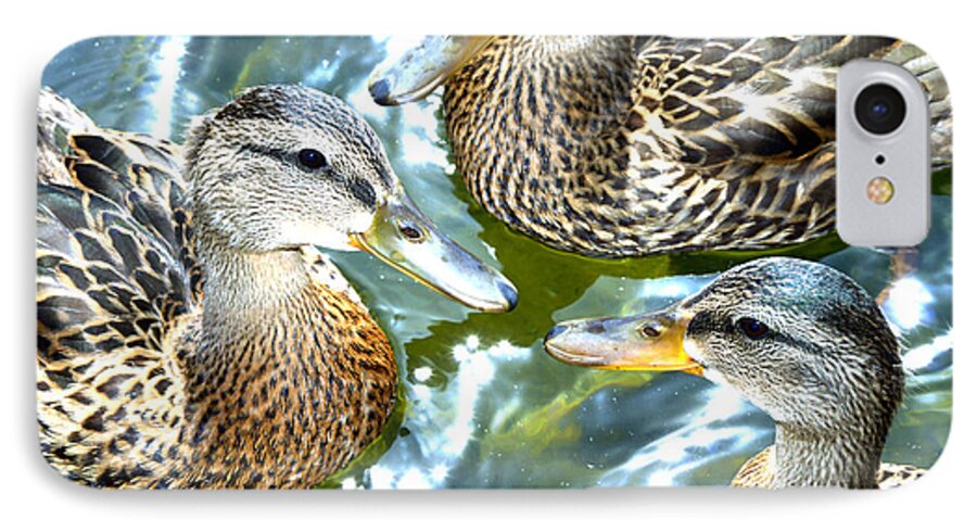 Brown Ducks iPhone 8 Case featuring the photograph When Duck Bills Meet by Lesa Fine