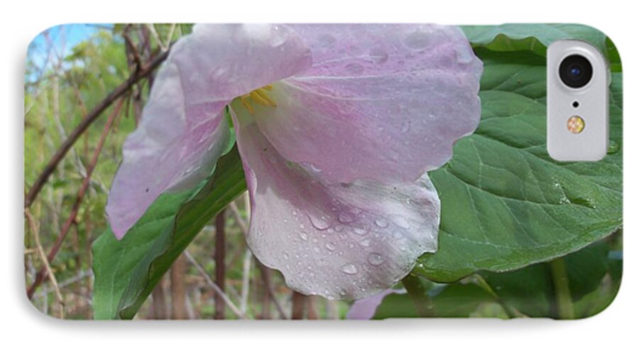 Nature iPhone 8 Case featuring the photograph White Trillium pink phase by David Pickett