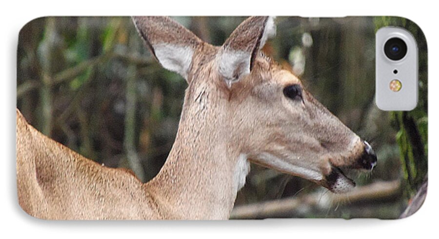 Fawn iPhone 8 Case featuring the photograph Whitetail Deer 038 by Christopher Mercer