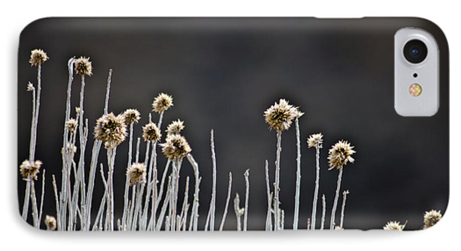 Wildflower iPhone 8 Case featuring the photograph Wild Things 1 by Joel Loftus