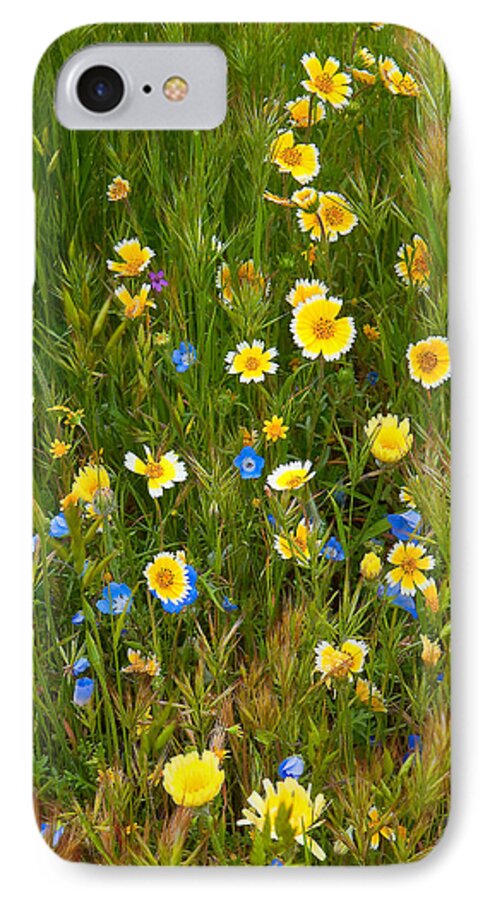 California Wildflowers iPhone 8 Case featuring the photograph Wildflower Salad - Spring in Central California by Ram Vasudev