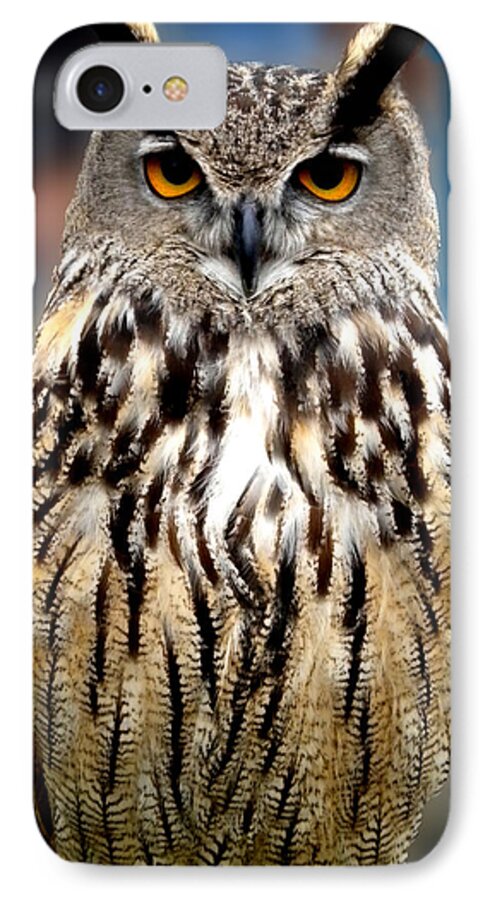 Colette iPhone 8 Case featuring the photograph Wise forest mountain Owl Spain by Colette V Hera Guggenheim