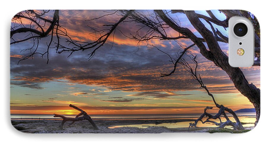 Landscape iPhone 8 Case featuring the photograph Wishing Branch Sunset by Mathias 