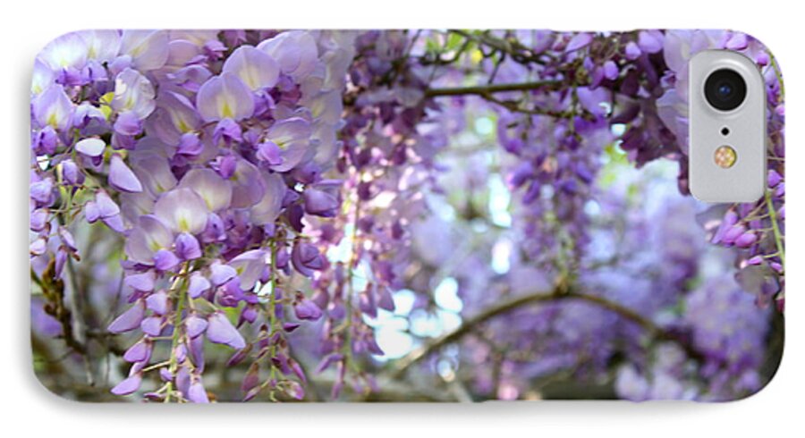 Cathy Dee Janes iPhone 8 Case featuring the photograph Wisteria Dream by Cathy Dee Janes