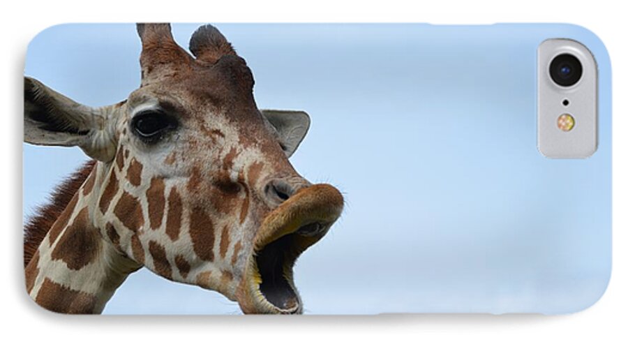 Zootography iPhone 8 Case featuring the photograph Zootography Giraffe Honking by Jeff at JSJ Photography